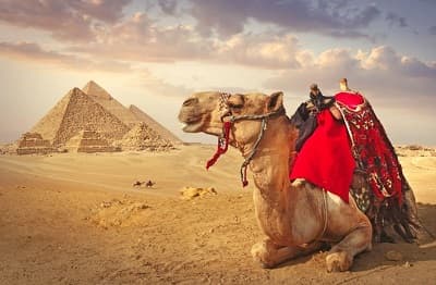Cairo Pyramids, Museum and Bazaar Tour